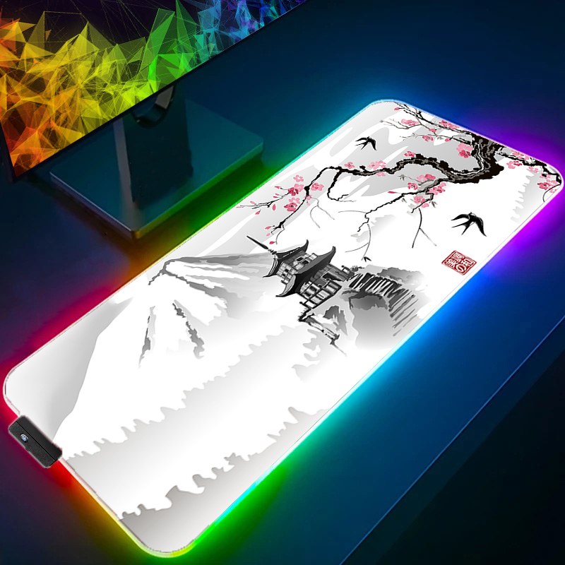 LED-licht RGB-muismat PC Compu - Rgb Mousepad recensie en prijs